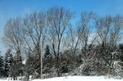 OwenSound 085